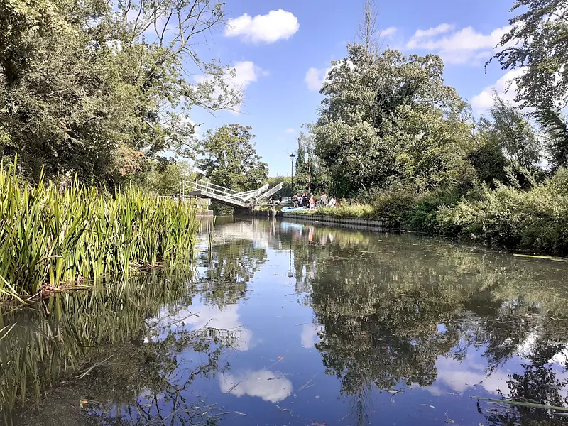 The Basingstoke Canal at North Warnborough