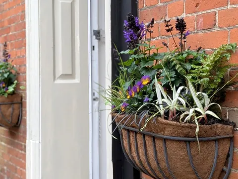 The side entrance to the Skin Spa Studio, with a hanging basket of flowers
