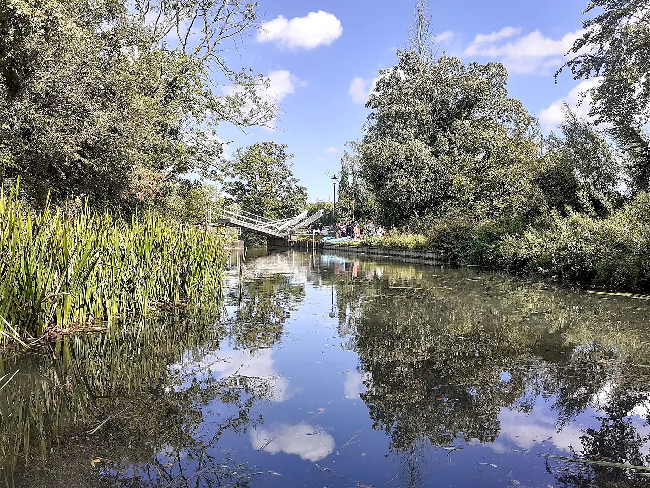 Lift bridge, North Warnborough, Basingstoke Canal (1)