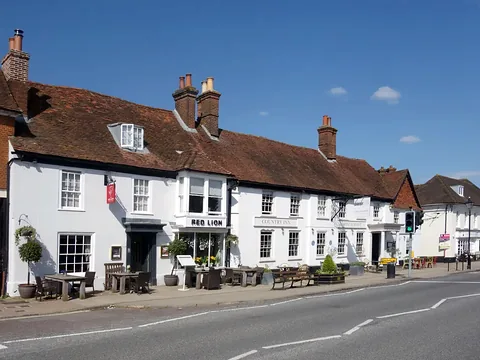 The Red Lion, a long white-painted pub on Odiham High Street
