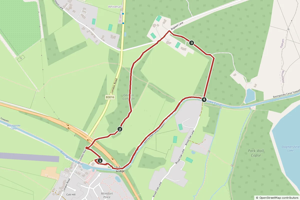 Map of the Odiham Common and the canal walk, with the route in red and numbered points