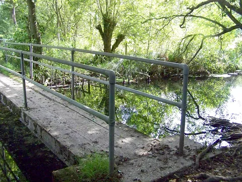 A wooden footbridge over the River Whitewater in Greywell Moors nature reserve
