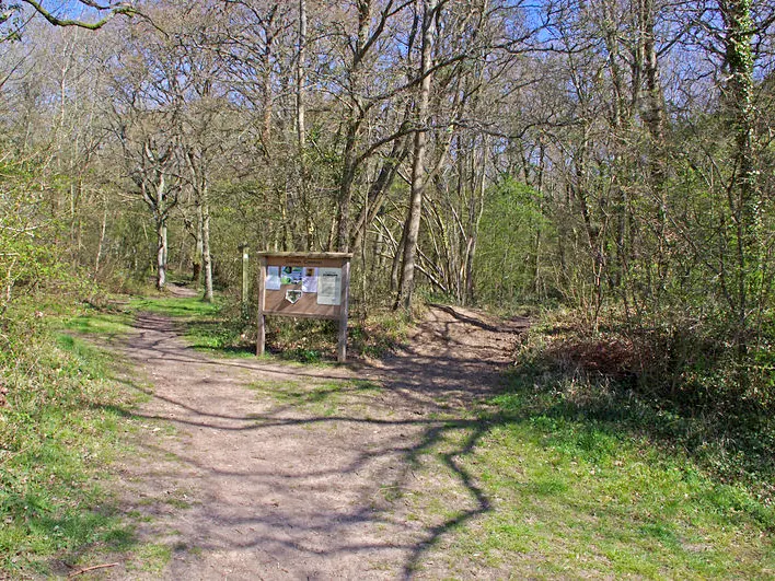 A path leading into the trees on Odiham Common, with an information board beside it